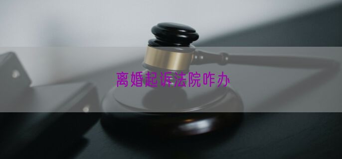 离婚起诉法院咋办