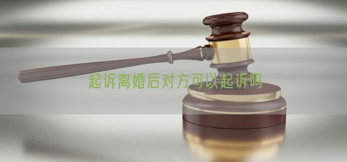 起诉离婚后对方可以起诉吗