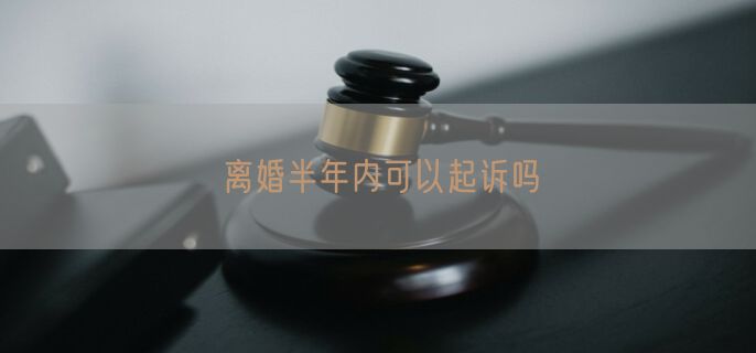 离婚半年内可以起诉吗