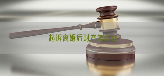 起诉离婚后财产怎么办