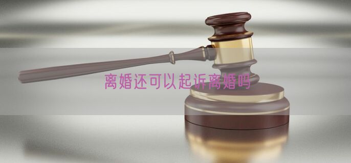 离婚还可以起诉离婚吗