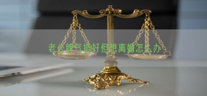 老公脾气挺好但想离婚怎么办