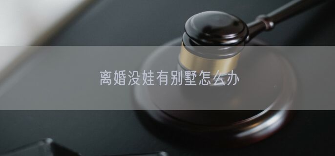 离婚没娃有别墅怎么办