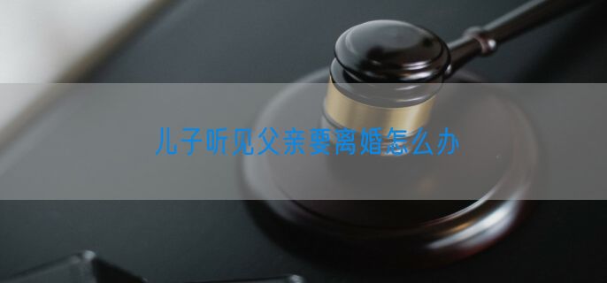 儿子听见父亲要离婚怎么办