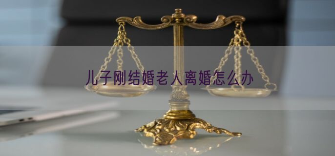 儿子刚结婚老人离婚怎么办