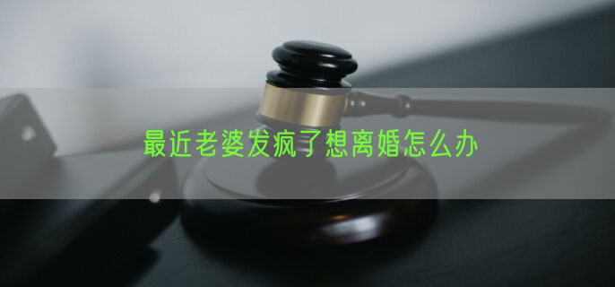 最近老婆发疯了想离婚怎么办