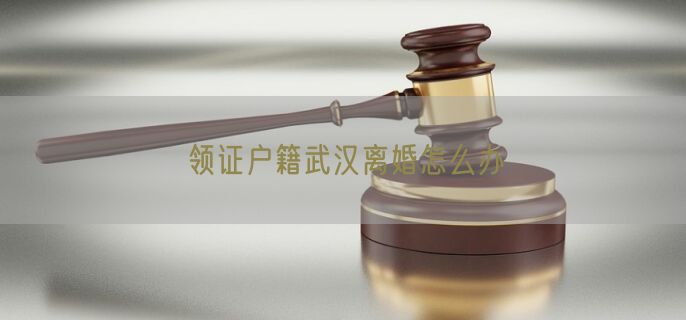 领证户籍武汉离婚怎么办