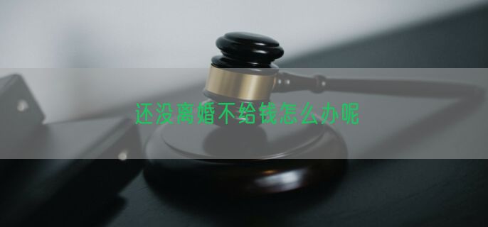 还没离婚不给钱怎么办呢