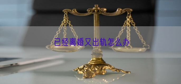 已经离婚又出轨怎么办